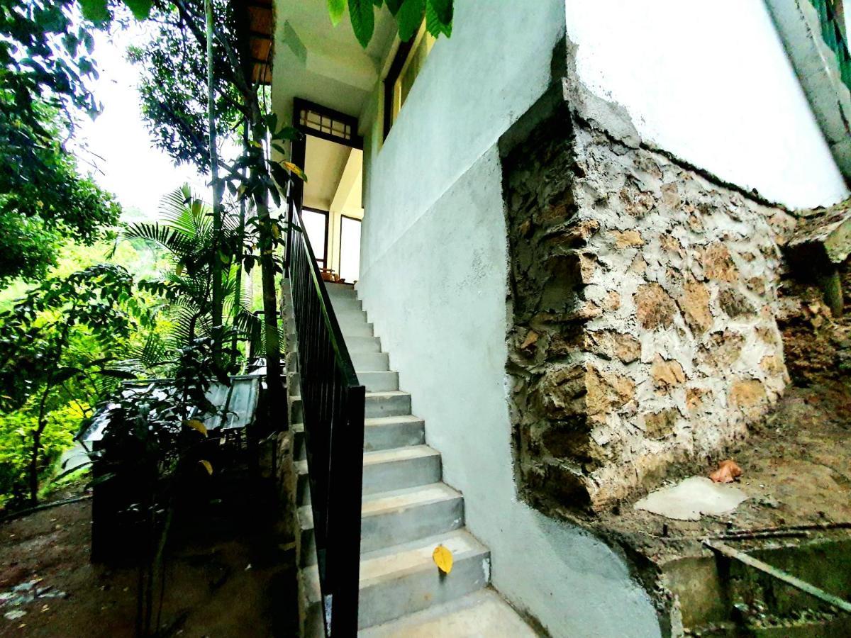 Ella Country House 外观 照片